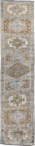 Antique Anatol Runner Rug (3' x 14')